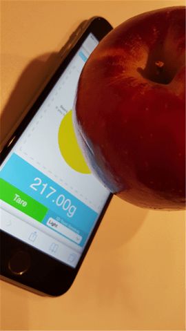 TouchScale 界面1